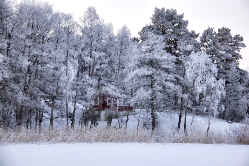 Hoar frost - red house 2