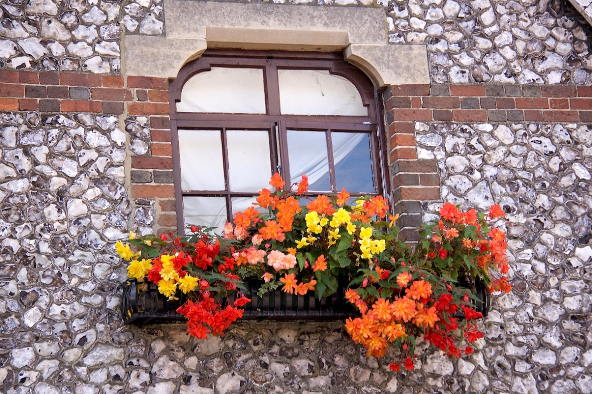 Flowery window.jpg